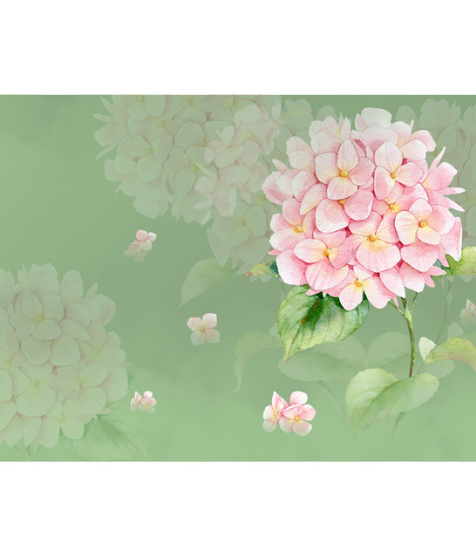FLOWERS WALL MURALS Products 16 - Premium Hydrangea Wall Mural for Large Wall Areas, High - Quality, Versatile & Easy to Install
